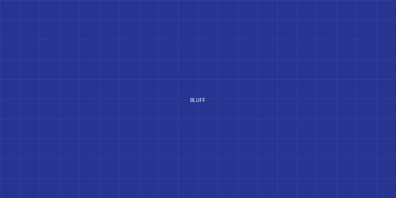 Bluff（虚张声势）博彩术语图解